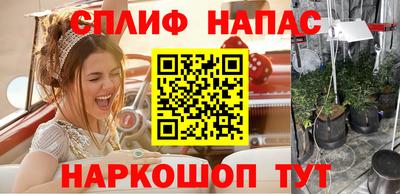 стаф Будённовск