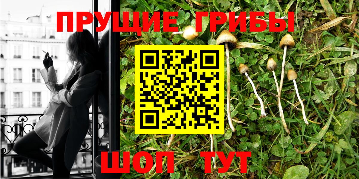 Галлюциногенные грибы Cubensis Усть-Кут