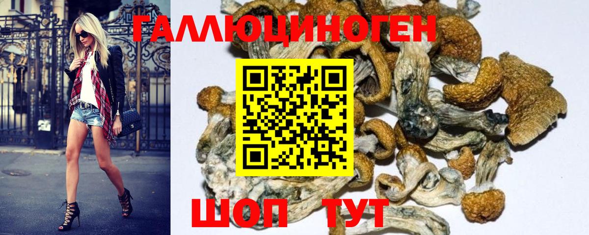 Псилоцибиновые грибы MAGIC MUSHROOMS  Псилоцибиновые грибы GOLDEN TEACHER  Усть-Кут  как найти закладки  Вход с VPN 
